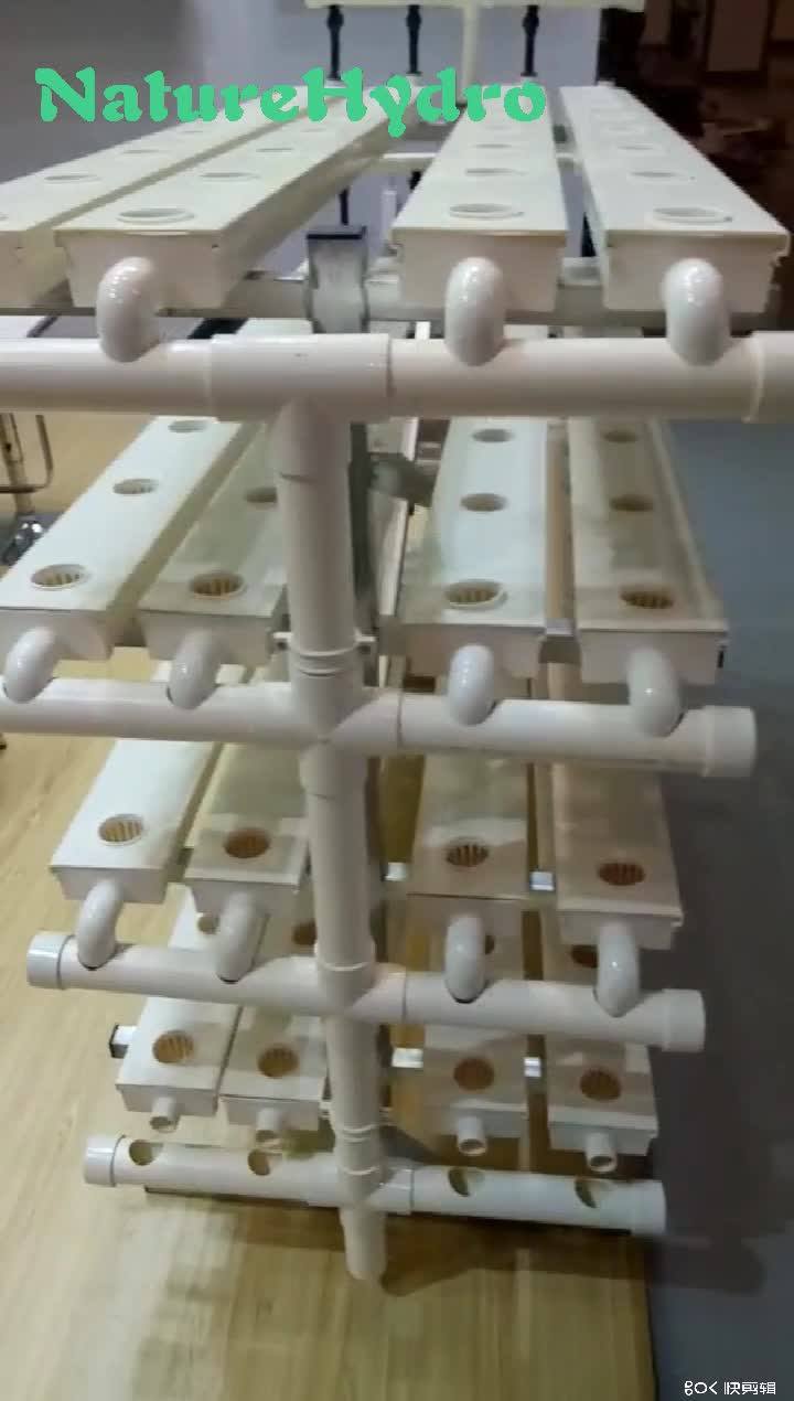 Pvc Pipes Hydroponic N Gully Aquaponic Growing System Buy Aquaponic