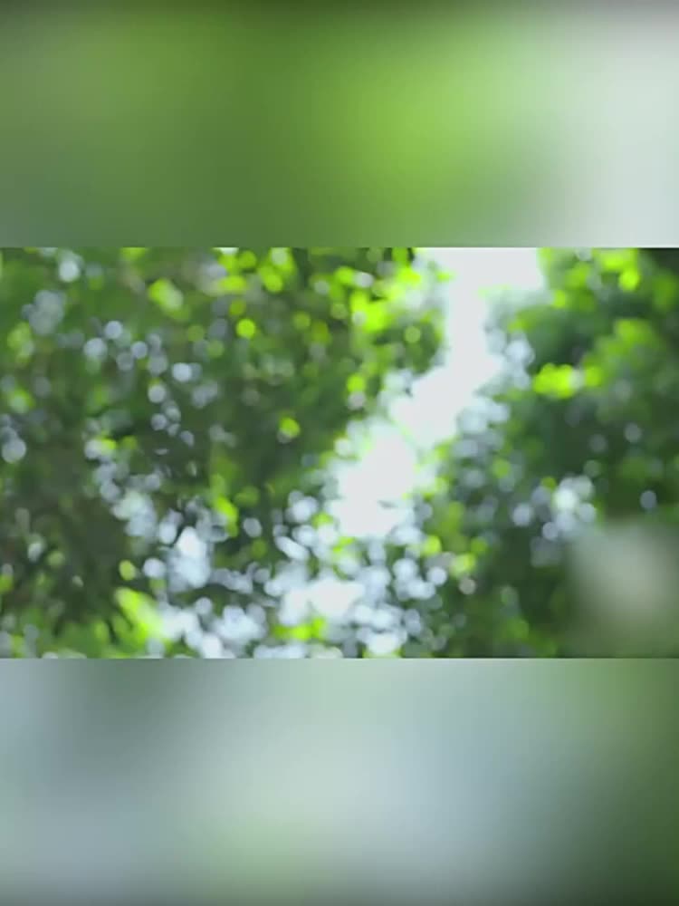 毛衣起球例比如打补丁。这台志高新机真可够以一键回春？