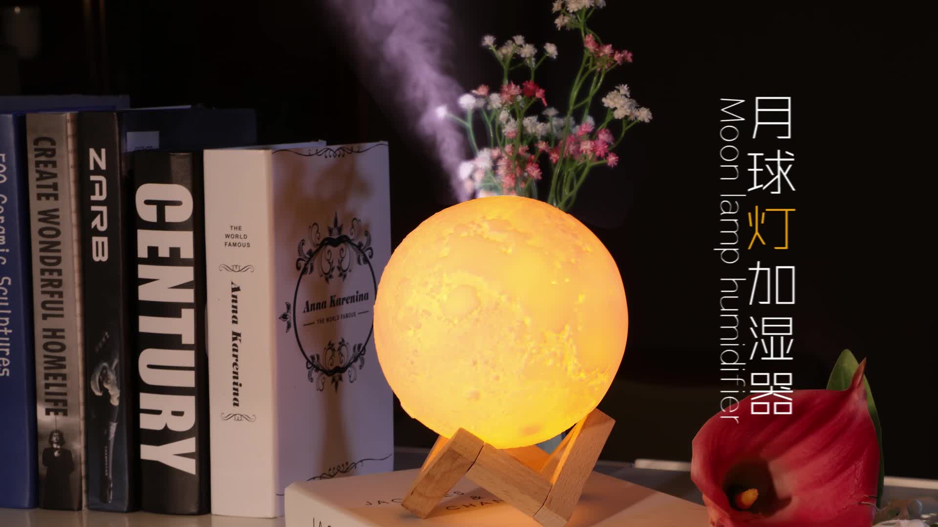 Wholesale Usb Desktop Mini Air Innovations Humidifier With Led Moon