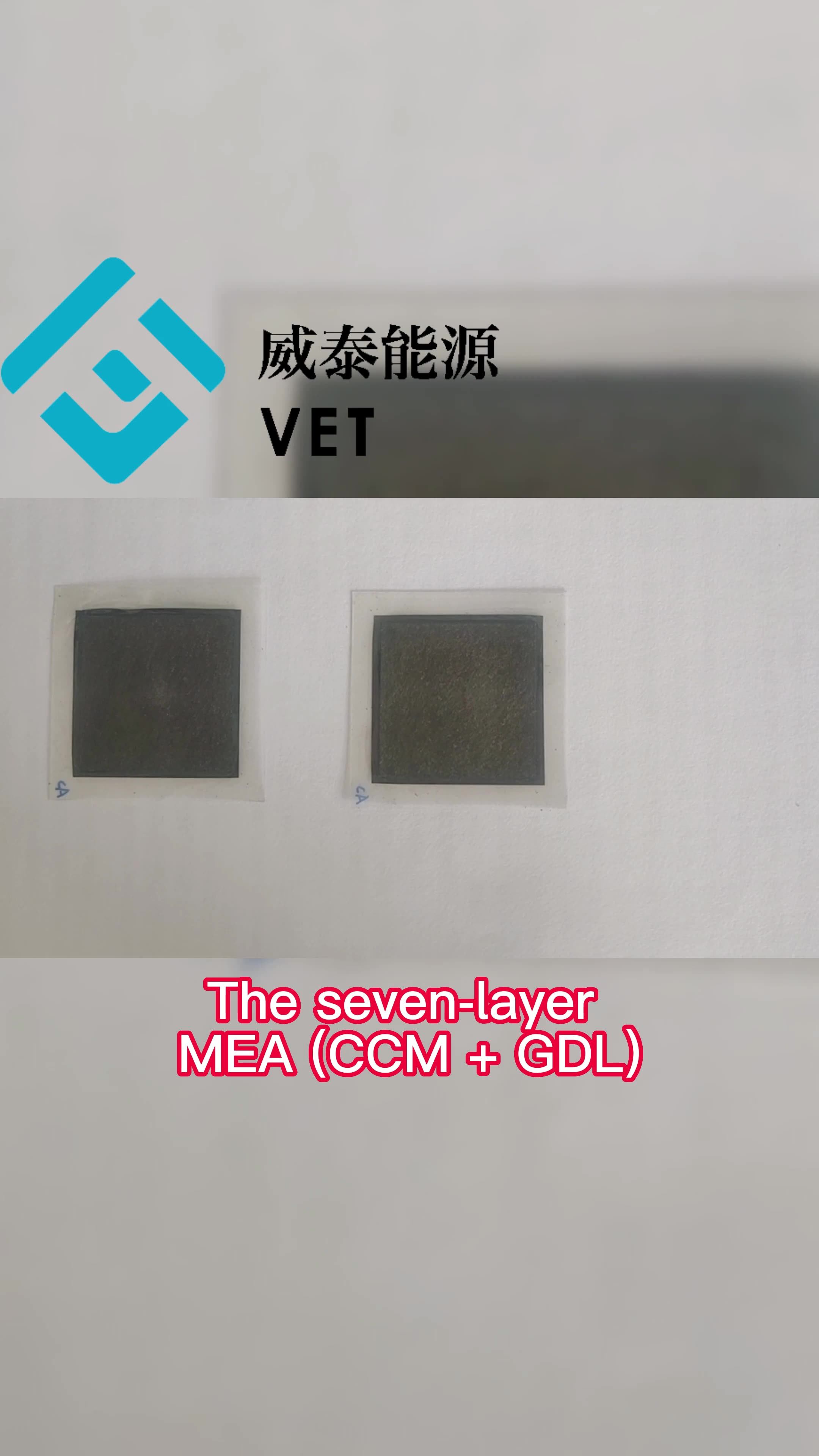 Hydrogen Battery Pem Fuel Cell Mea Electrode Assembly Membrane Exchange