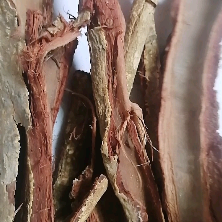Wholesale Natural Wild Dried Acacia Confusa Root Barks For Sale - Buy ... Acacia Confusa Root Bark Extraction