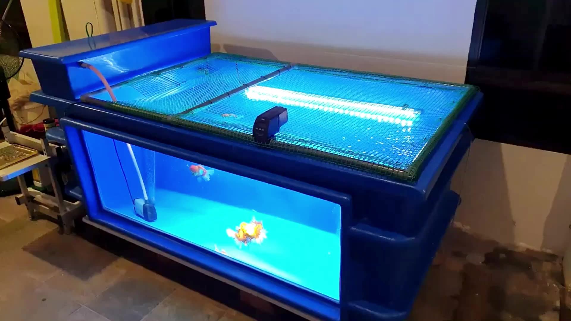 Customised Large Outdoor Farm Koi Pond Frp Other Aquaculture Equipment Aquarium Fish Tank With