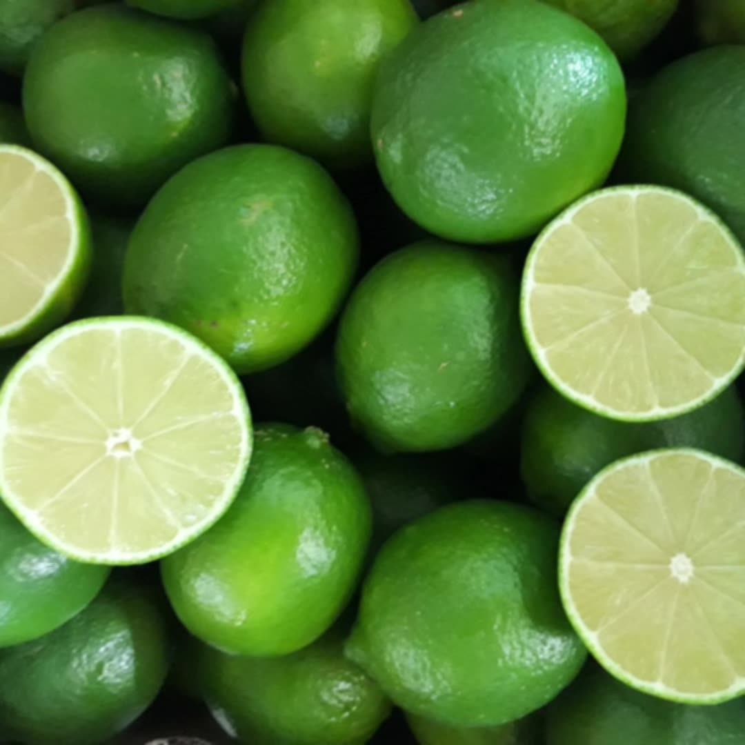 Fresh Lime Seedless Phytosanitary Certificate With Green Lemon Fresh Lime Citrus Fruits 6kg 7kg