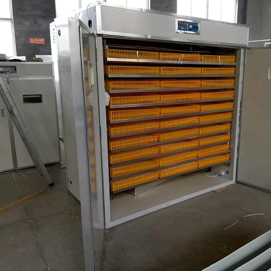 Hot Sale Chicken Farms Egg Hatchery Machine 5280 Automatic ...