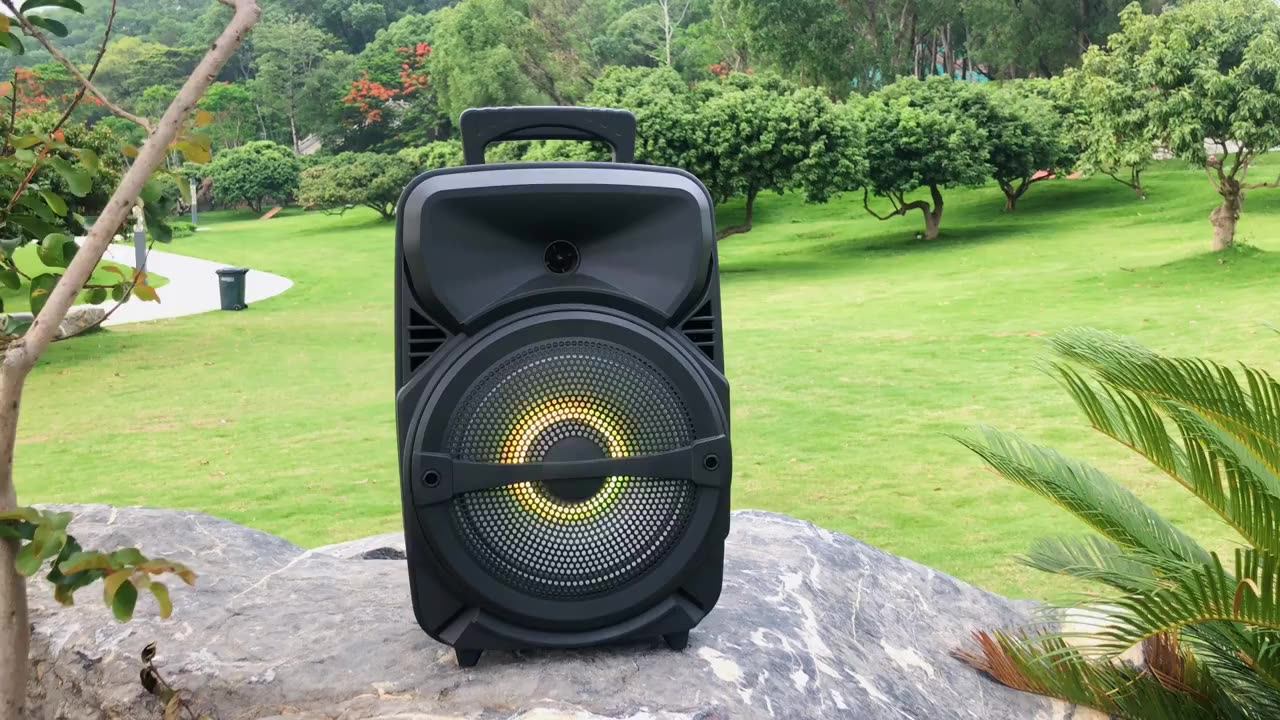 Audmic Wireless Portable Outdoor Speaker Karaoke Speaker Bluetooth