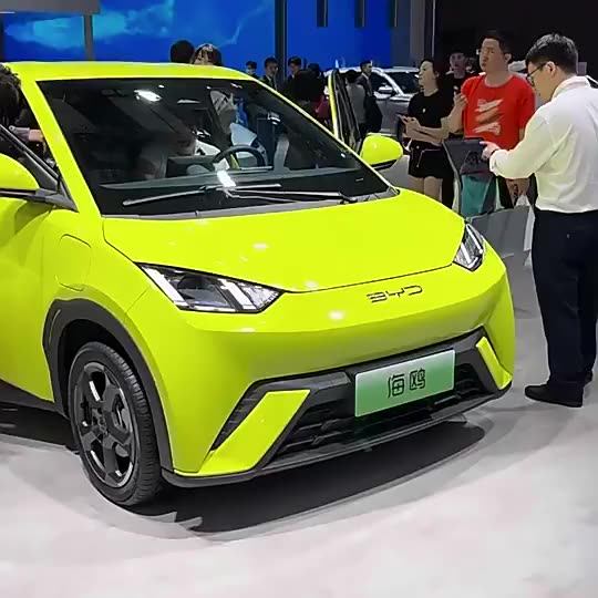 Wholesale Electric Cars 5door 4seat New Energy Car Pure Electric Car
