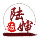 陆婶汤料 养生煲汤材料的LOGO