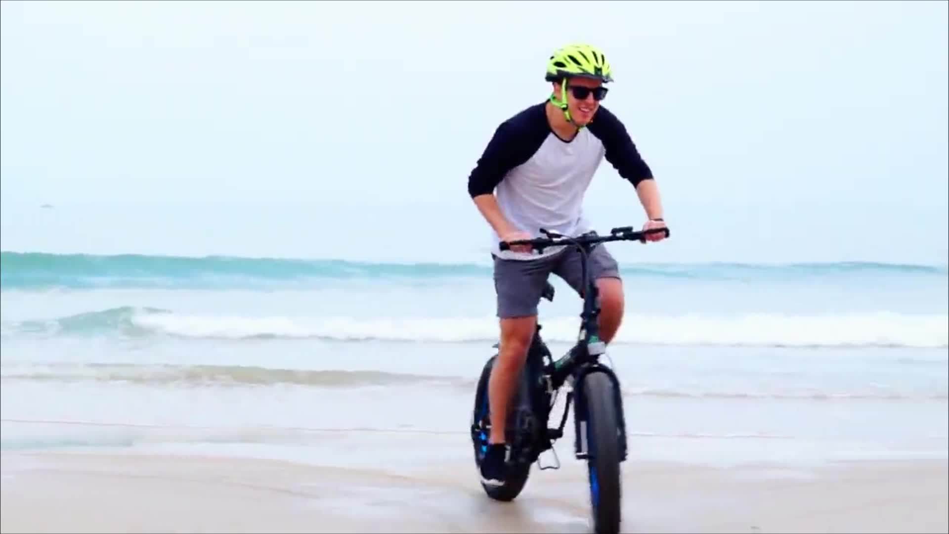 fat tire folding bike