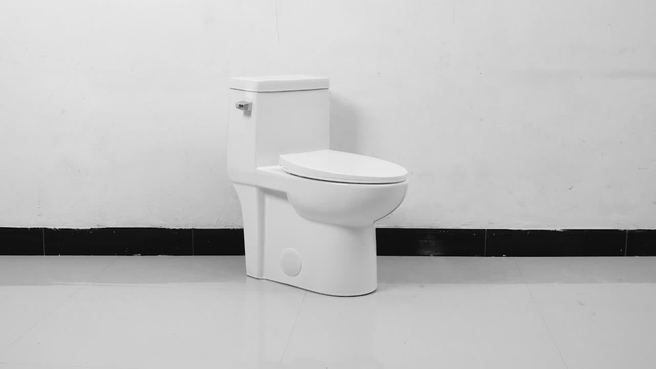 Ovs Upc American Style Ada Bathroom Floor Mounted Ceramic Siphonic