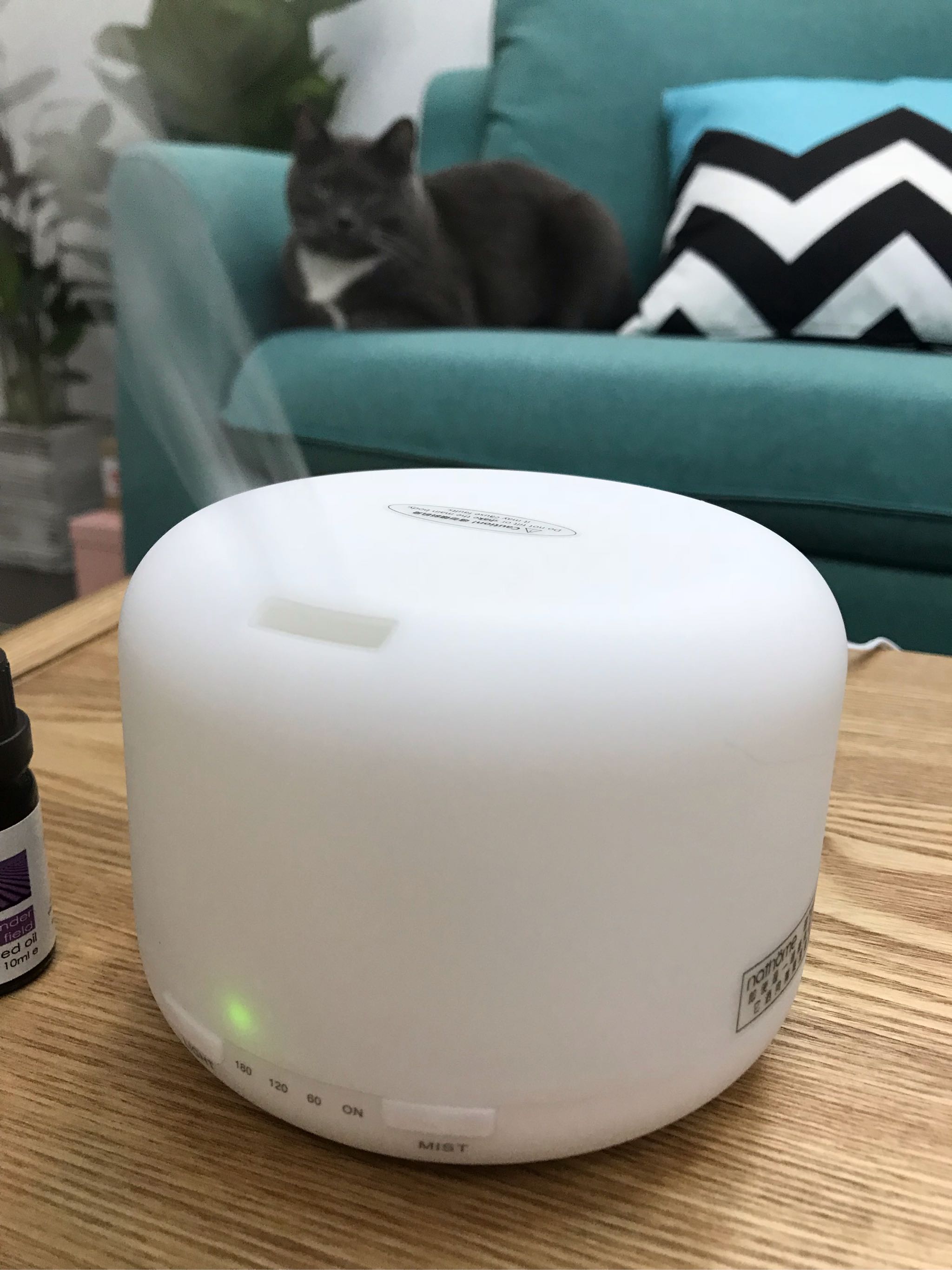 超声波纳米香薰空气加湿器质量怎么样是品牌吗，两大爆款使用效果评测_搜券