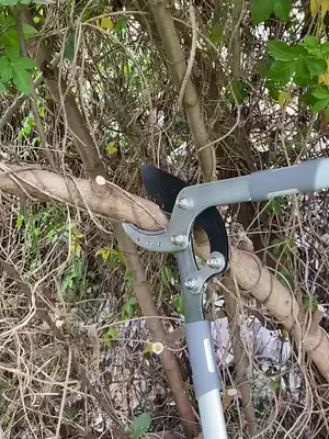 Pruning scissors Fruit tree pruning special branch scissors Garden pruning artifact Strong pruning strong thick branches Large branches save effort
