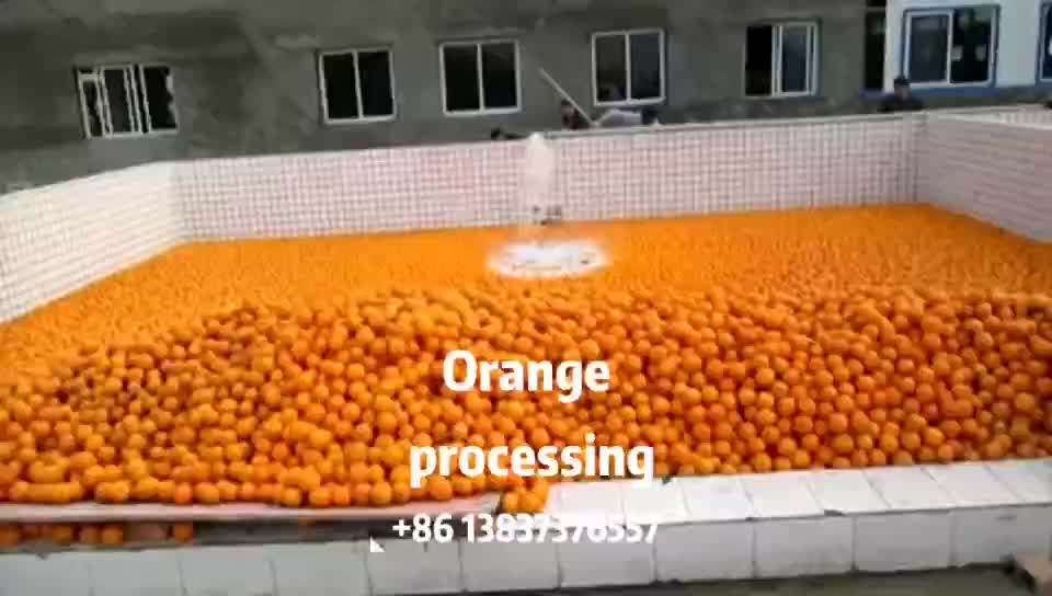 Large Scale Fruit Jam Production Process Lemon Processing Plant 5000kg/h Lime Lemon Juice