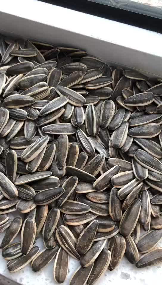 China Top Quality Sunflower Seeds 361 Buy Wholesale Sunflower Seeds