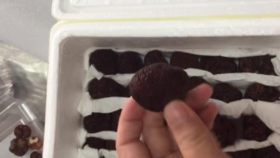 Detan Fresh Wild Black China Truffles Buy Truffle,Wild Black Truffle