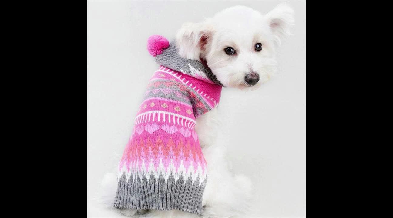 Oem&odm Custom Wholesale Matching Dog Winter Clothes Pet Clothes