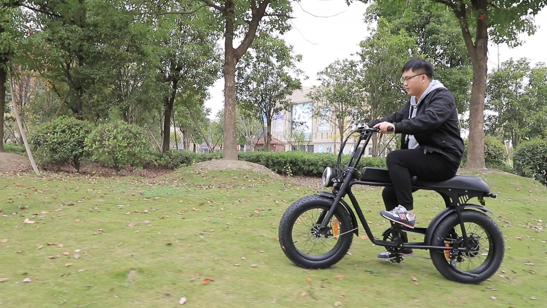 2020 10.4ah Lithium Battery Super Powered 48v 500w Hpe 73 Two Seat Ebike / Fat Tire 2 Seater