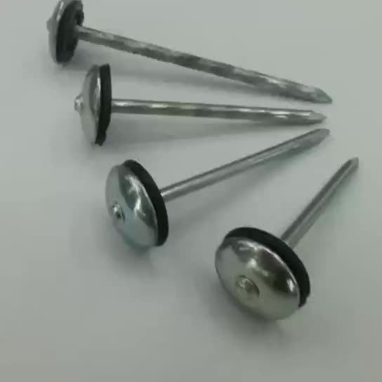 Shandong Roofing Nails With Rubber Gasket Kenya Buy Roofing Nails