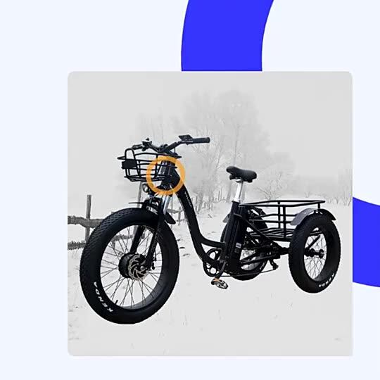 3 Wheel Delivery Bikes Frame Baby Tricycle Ebike Ecargo Family E