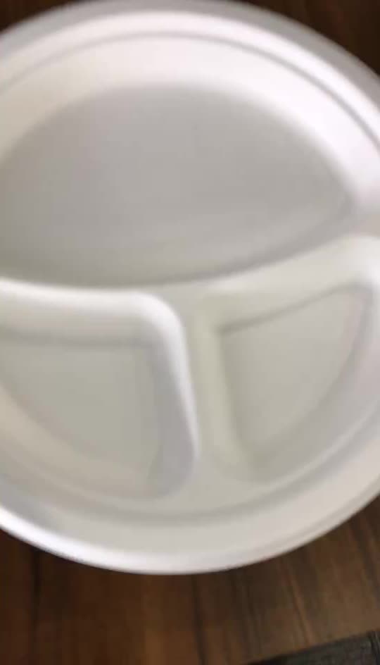 Wholesale Biodegradable Disposable Bamboo Plates For Party Picnic 3