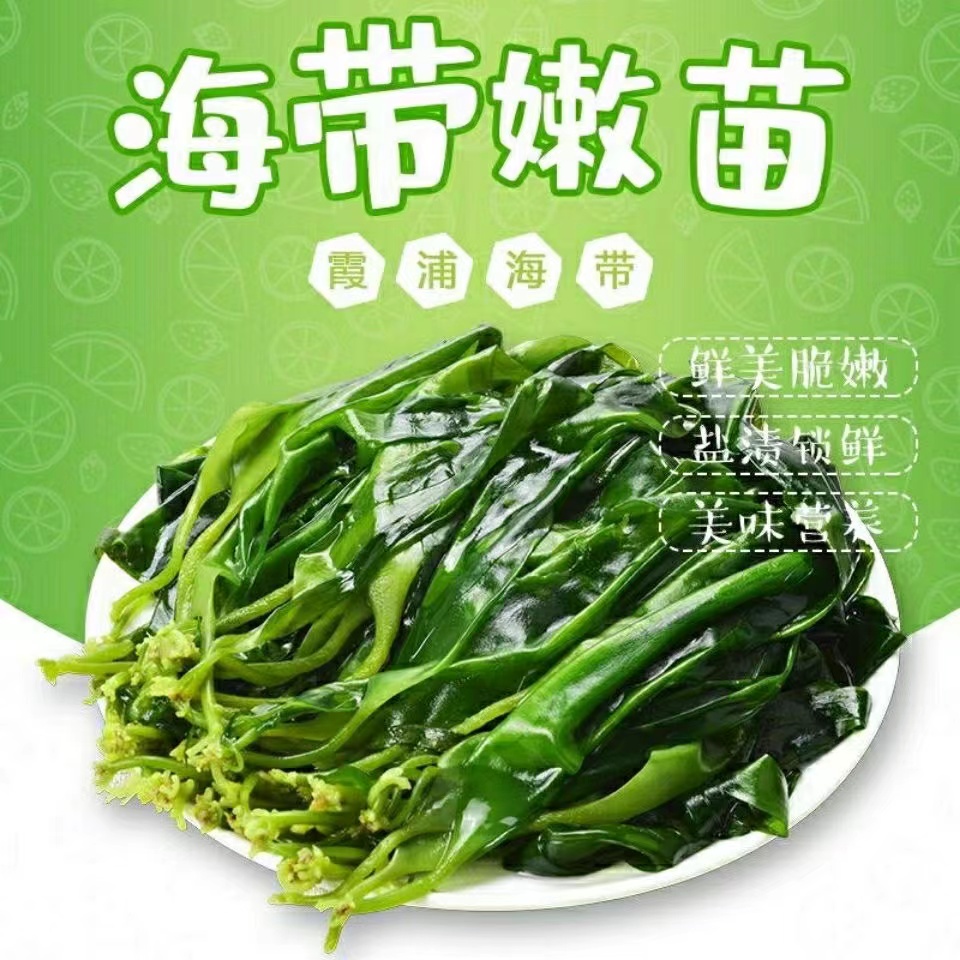 喜粮晨霞浦海带嫩苗：火锅凉拌新宠，鲜到舌尖的海洋馈赠