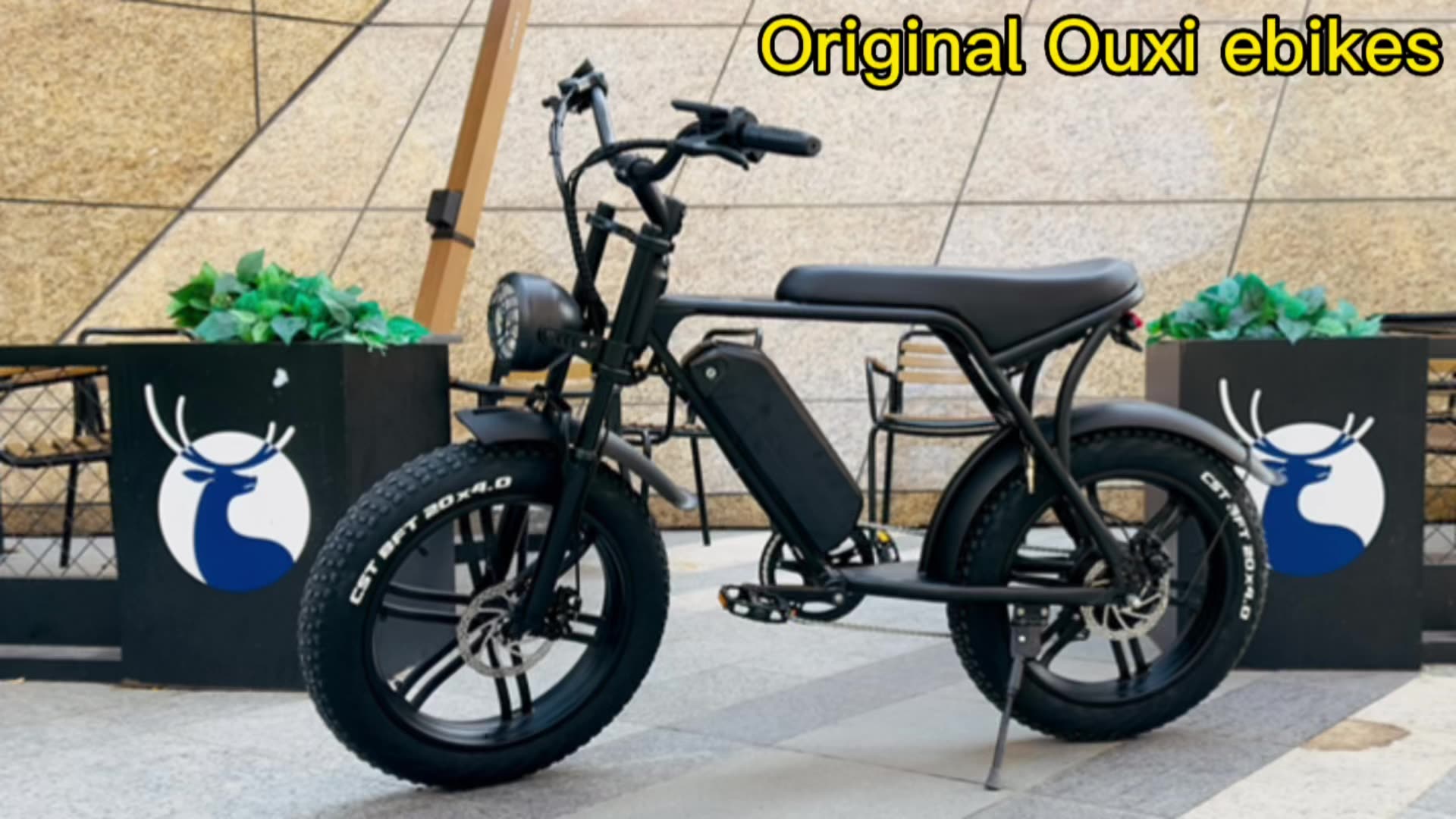1000w electric bike speed