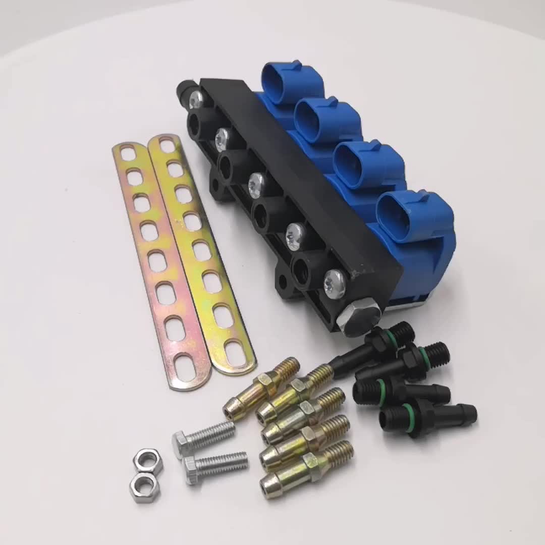 Price For Cng/lpg Gas 4cyl Injector Rail For Injection System Buy Lpg