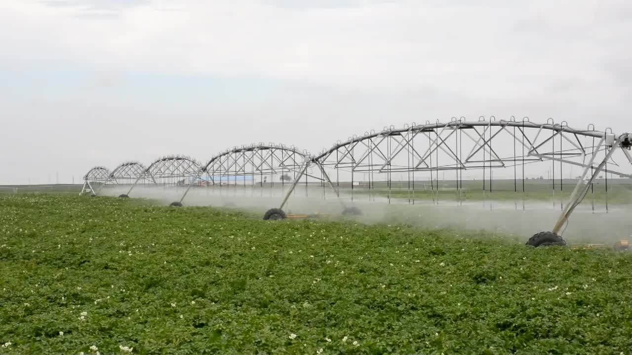Large Farm Irrigation Solution Center Pivot / Linear Lateral