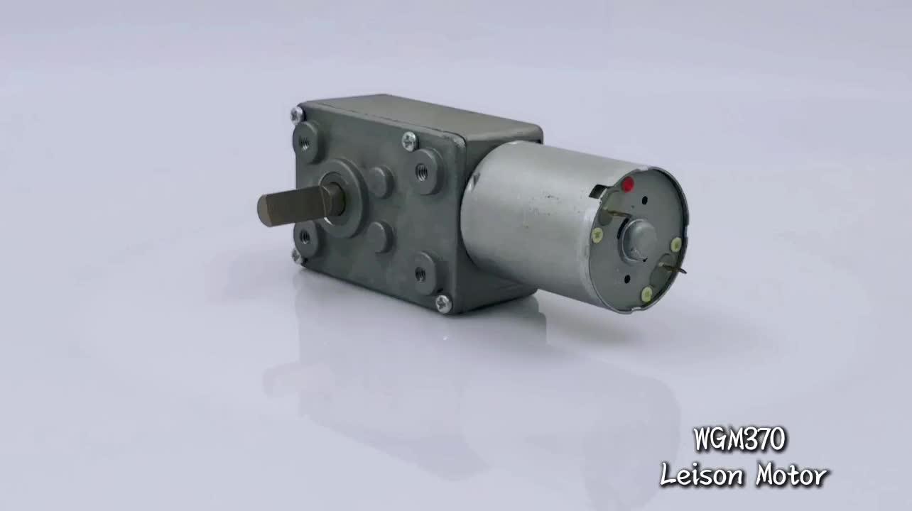 6v Small Dc Worm Gear Electric Motor,Worm Motor For Automatic Doors