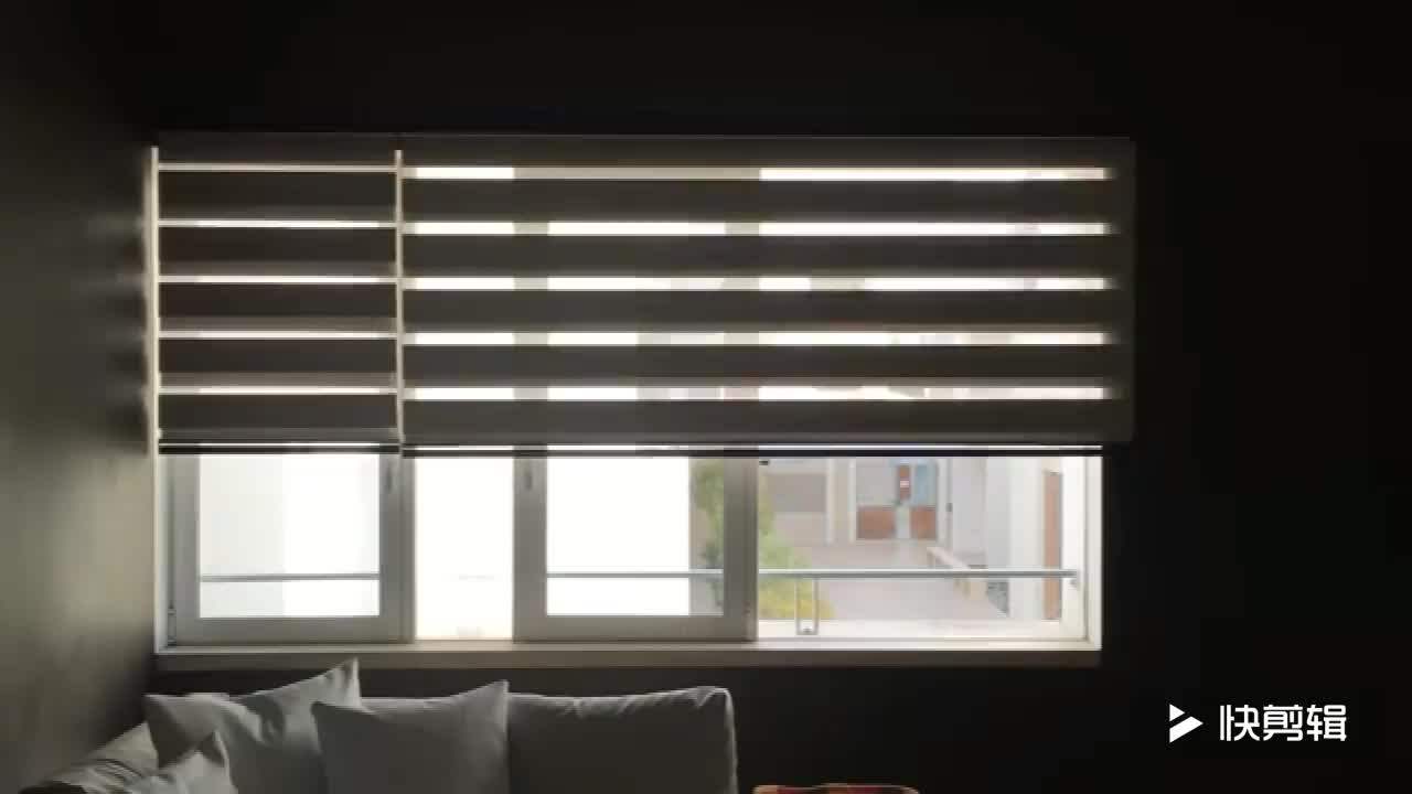 Day And Night Zebra Horizontal Roller Blackout Blinds For Window Buy