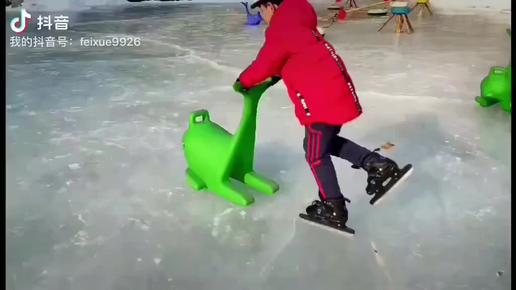 Ice Rink Dolphin Ice Sled Helper Booster For Kiddie Skating With The