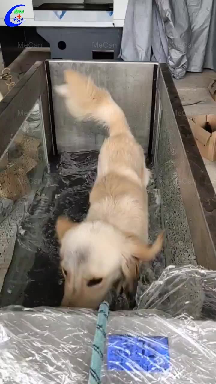 Hydrotherapy Underwater Dog Treadmill,Water Treadmill For Pet Buy