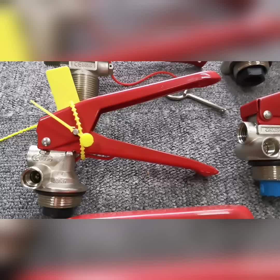 Reliable Supply Brass M24 Fire Safety Valve For Water Fire Extinguisher