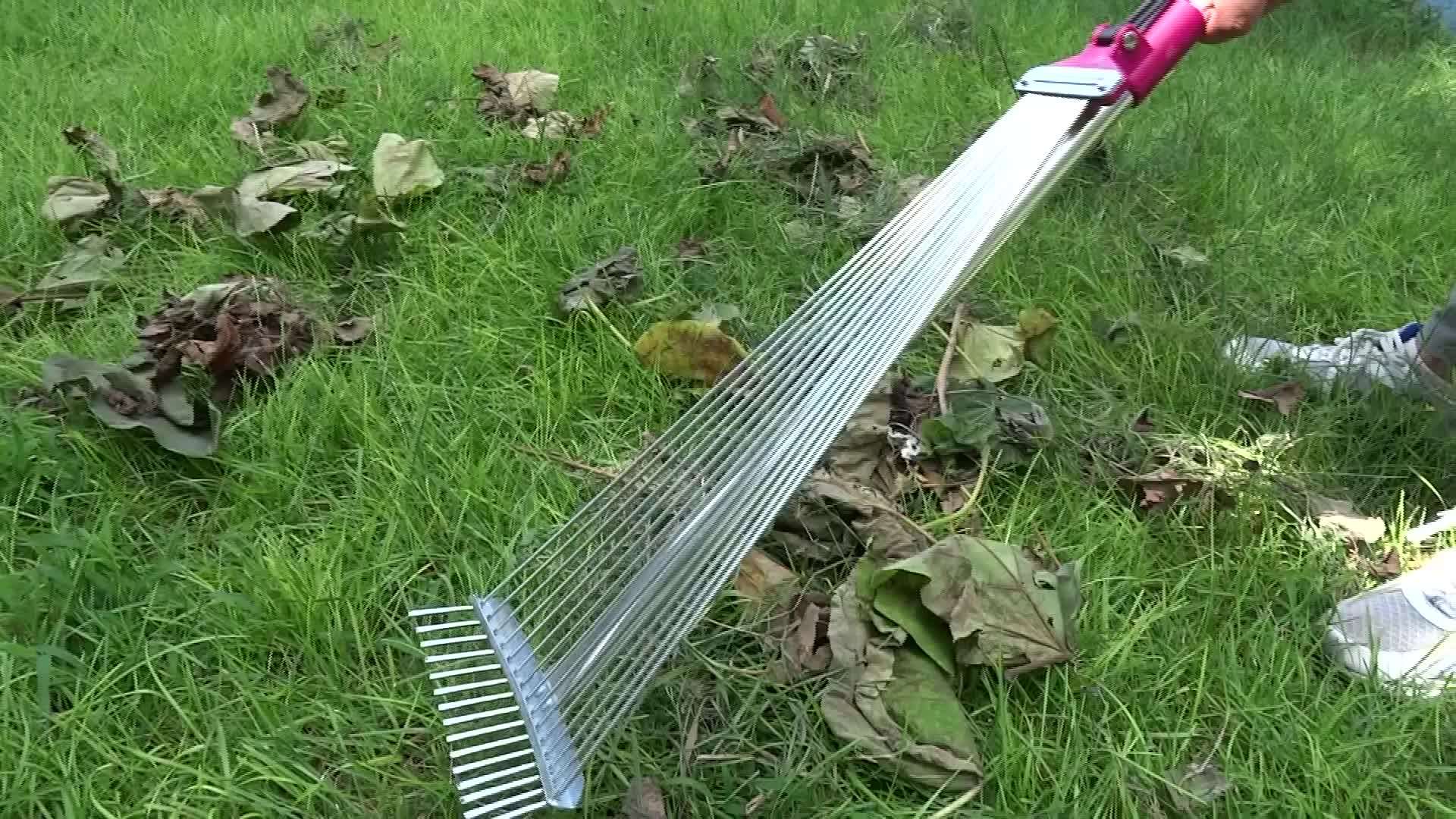 Adjustable Iron Garden Hay Rake With Handle Buy Retractable Rake,Hay