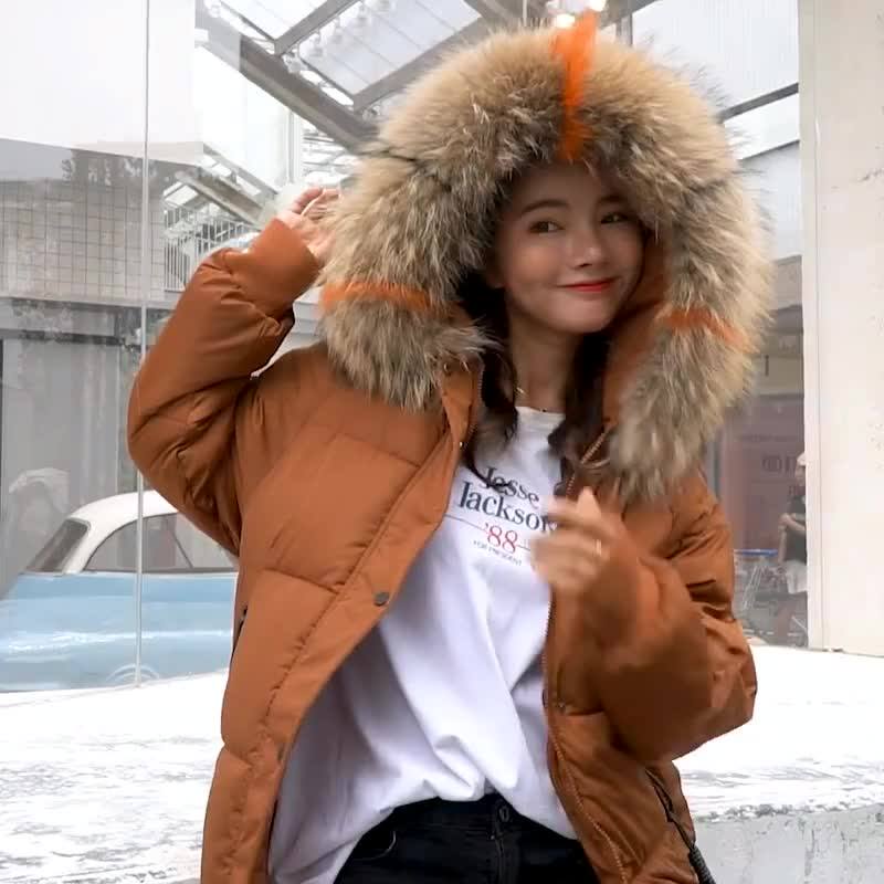 Winter Fur Collar Hoodie Down Coat 