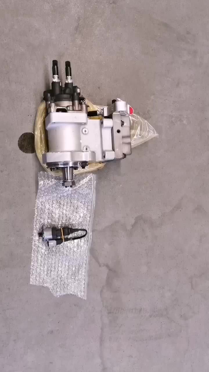 Genuine Isle Diesel Engine Fuel Injection Pump Assembly 3973228 Diesel