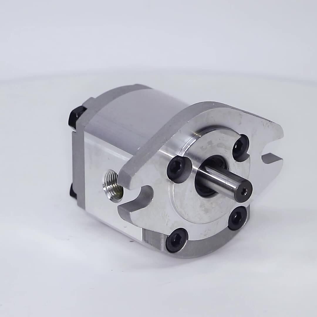 Factory Direct Sales Discount Hgp Hydraulic Oil Pump Small Gear Pump