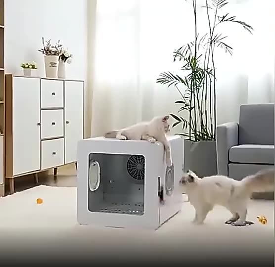 New Style Automatic Smart Pet Dryer Machine Cat Drying Box Dog