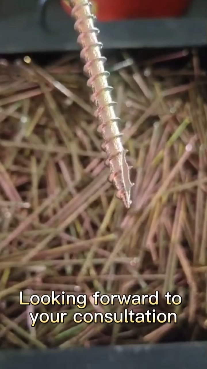 M8 Concrete Frame Screws 4 Inch T30 Torx Drive Self Tapping Masonry