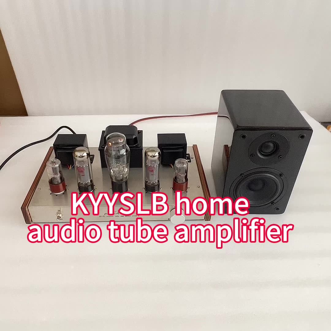 220V Home Audio Tube Amplifier Pure Electronic Sound
