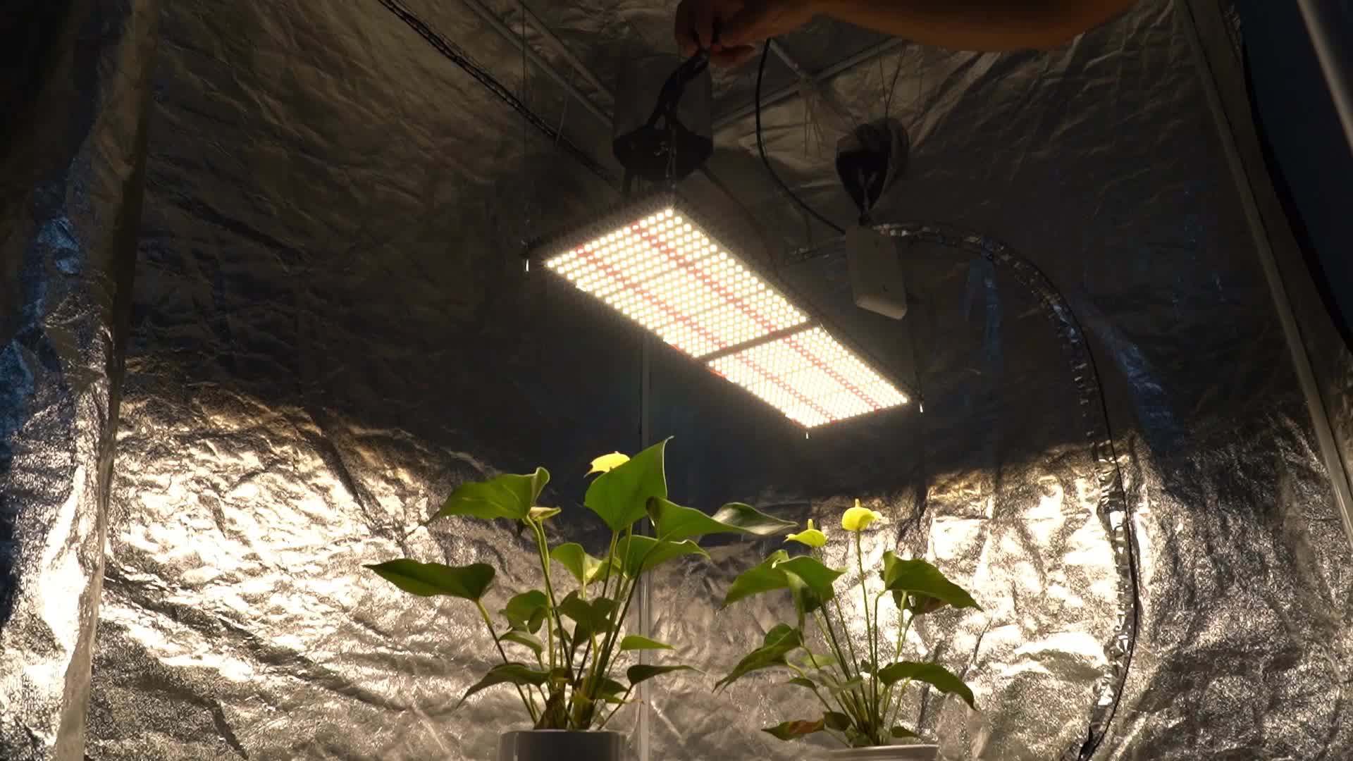 Folux Plus 240w Meijiu Qb288 V2 V3 Lm301b 3000k 2x4 Samsung Led Grow