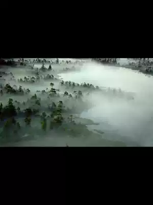 KAMJOVE gold stove KU-10A ceramic electric cooker intelligent thermal insulation electric stew Cup electric cooker soup automatic household