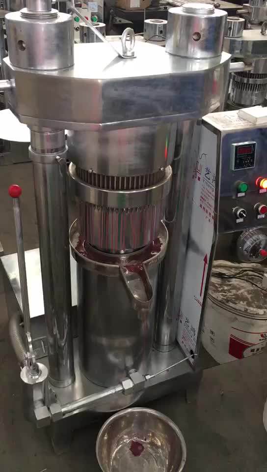 Castor Walnut Hazelnut Macadamia Nut Seed Sacha Inchi Cocoa Bean