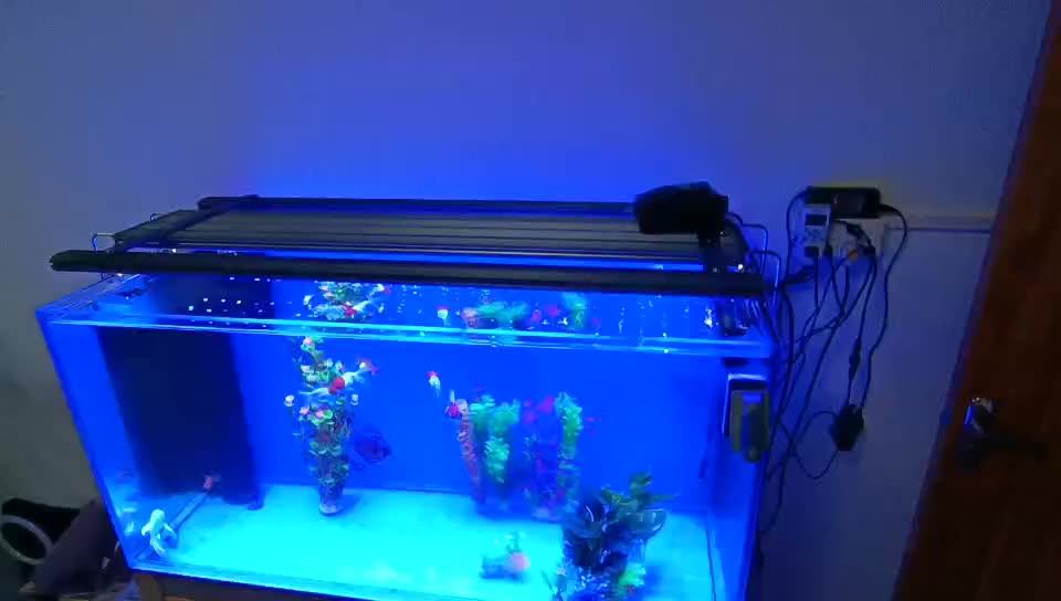 Freshwater Aquarium Lighting 60cm 80cm 90cm 120cm Led Aquarium Light
