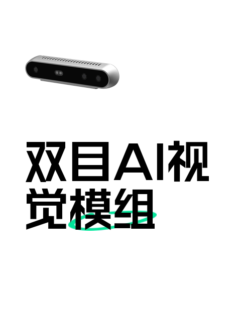 双目AI视觉模组-淘宝逛一逛