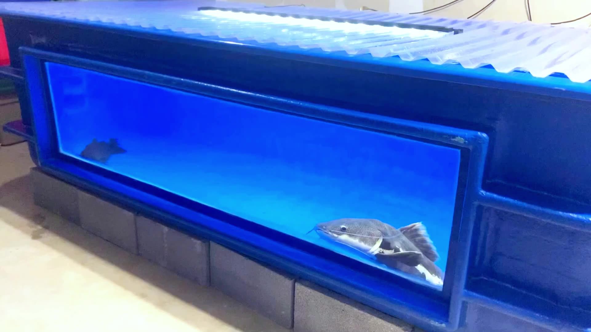 Wholesale Aquarium 1000 100 Gallon Shrimp Farming Tanks