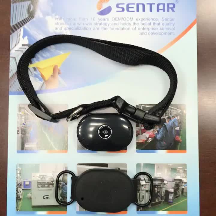 Accurate Tracking Waterproof Ip67 Dog Tracking Device Small Gps Pet