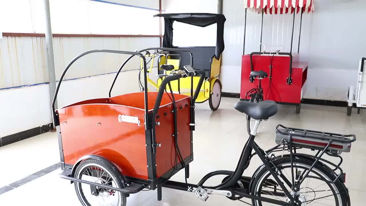 3 Wheel Electric Bicycle Heavy Duty Closed Cabin Delivery Bike Cargo