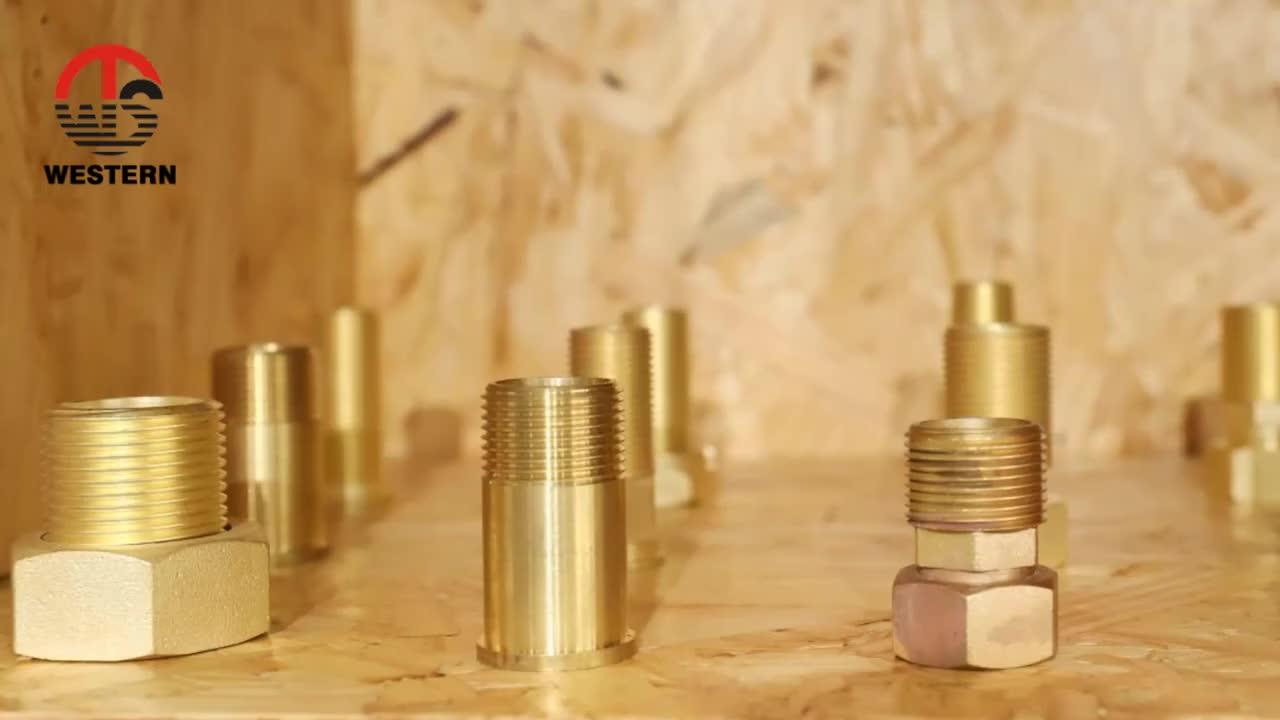 Sanitary Plumbing Fxm Thread Coupling With Hexagon Equal Tube Fittings