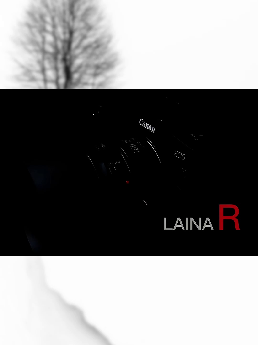 这个转接环可让你的古董镜头重获新生？佳能够R系用户速看！