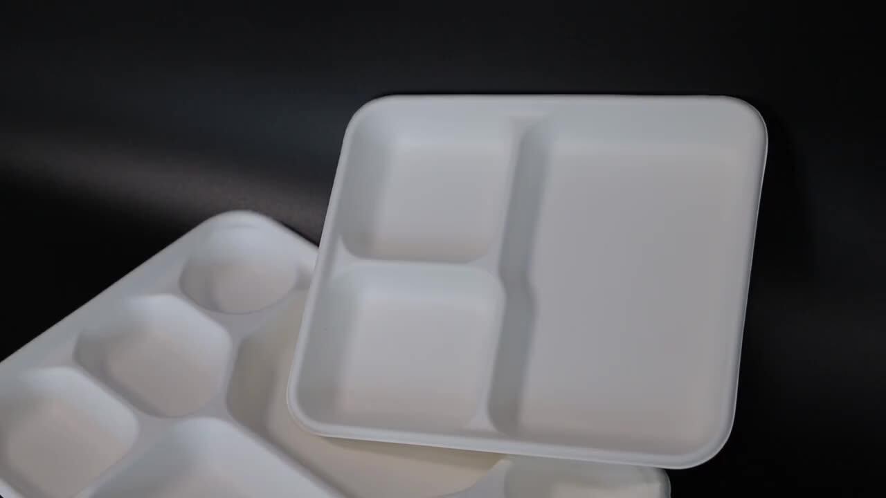 Disposable Food Tray With 5 Compartments Compostable 5 Compartment